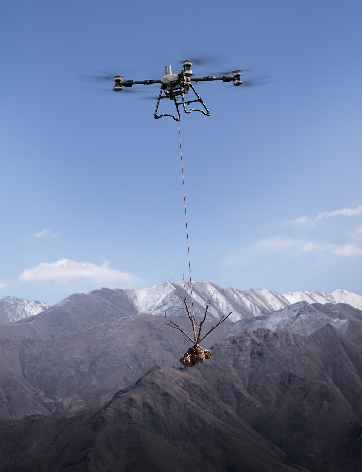 Transporte de plantones con dron T100